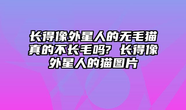 长得像外星人的无毛猫真的不长毛吗- 长得像外星人的猫图片