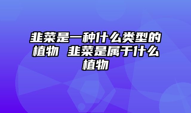 韭菜是一种什么类型的植物 韭菜是属于什么植物