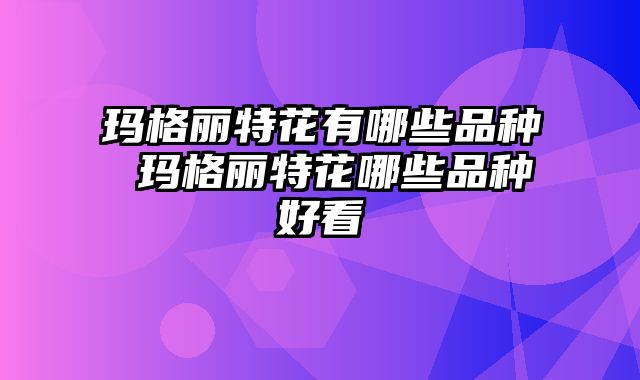 玛格丽特花有哪些品种 玛格丽特花哪些品种好看