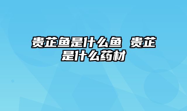 贵芷鱼是什么鱼 贵芷是什么药材