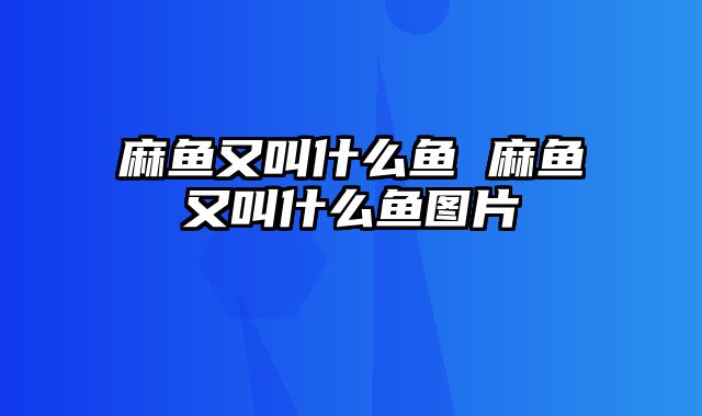 麻鱼又叫什么鱼 麻鱼又叫什么鱼图片