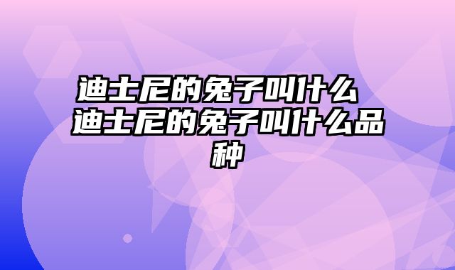 迪士尼的兔子叫什么 迪士尼的兔子叫什么品种