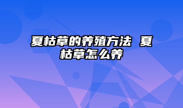 夏枯草的养殖方法 夏枯草怎么养