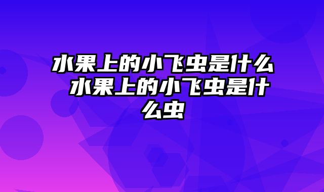 水果上的小飞虫是什么 水果上的小飞虫是什么虫