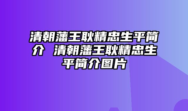 清朝藩王耿精忠生平简介 清朝藩王耿精忠生平简介图片