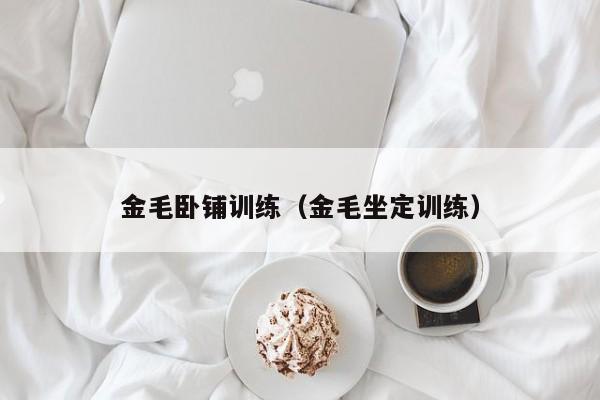 金毛卧铺训练（金毛坐定训练）