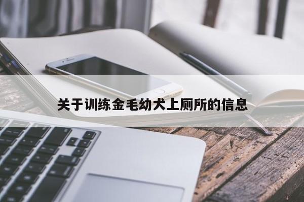 关于训练金毛幼犬上厕所的信息