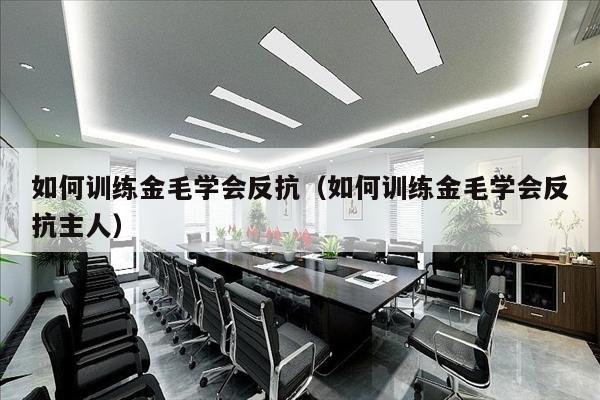 如何训练金毛学会反抗（如何训练金毛学会反抗主人）