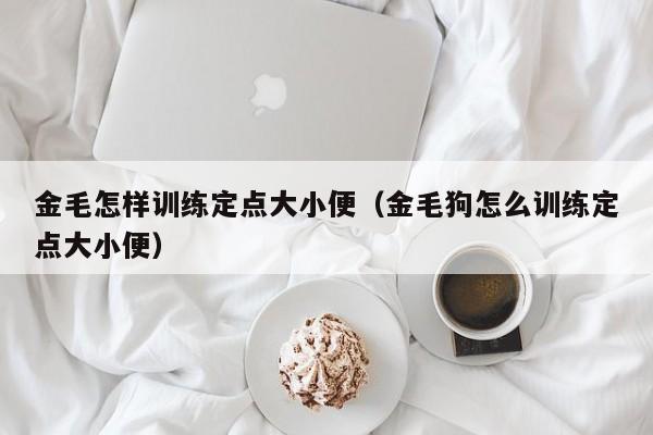 金毛怎样训练定点大小便（金毛狗怎么训练定点大小便）