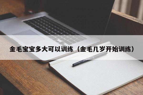 金毛宝宝多大可以训练（金毛几岁开始训练）