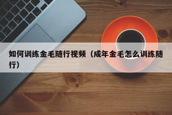 如何训练金毛随行视频（成年金毛怎么训练随行）