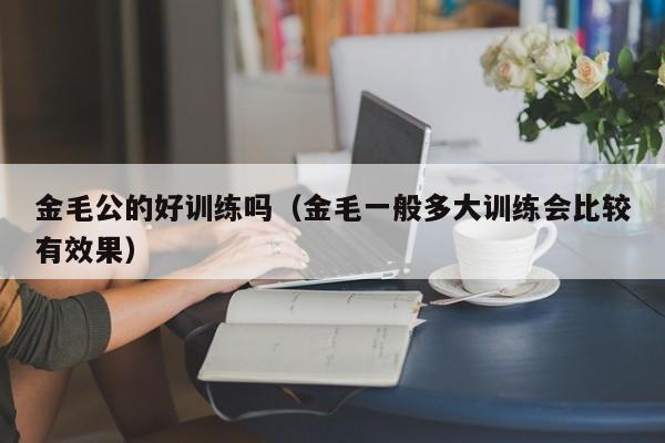 金毛公的好训练吗（金毛一般多大训练会比较有效果）