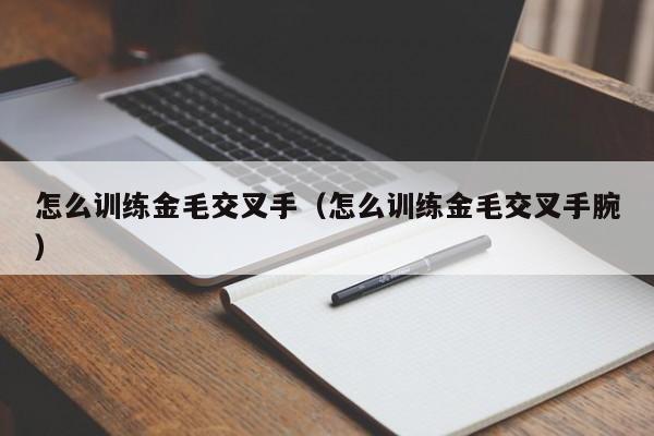 怎么训练金毛交叉手（怎么训练金毛交叉手腕）