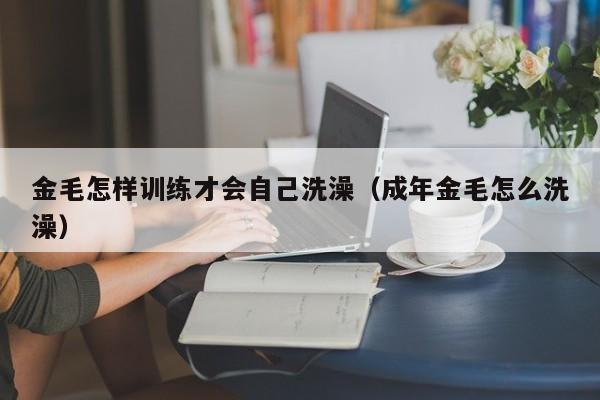 金毛怎样训练才会自己洗澡（成年金毛怎么洗澡）