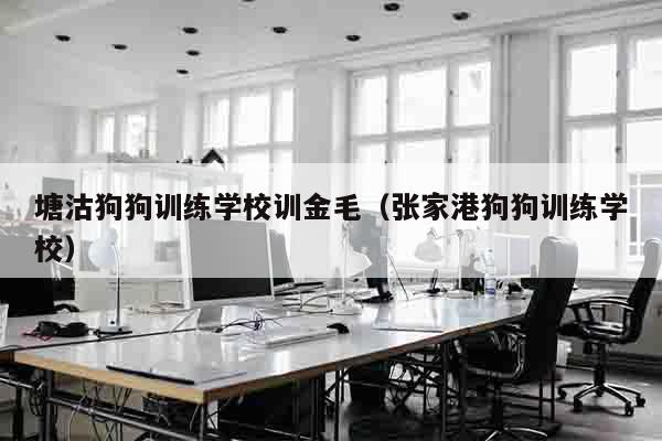 塘沽狗狗训练学校训金毛（张家港狗狗训练学校）