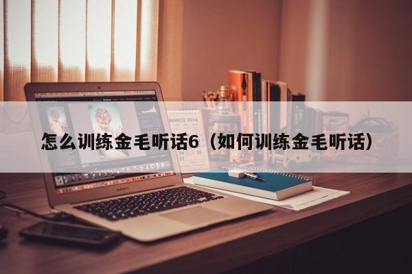 怎么训练金毛听话6（如何训练金毛听话）