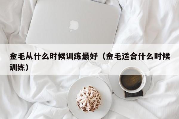 金毛从什么时候训练最好（金毛适合什么时候训练）