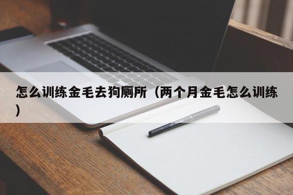 怎么训练金毛去狗厕所（两个月金毛怎么训练）