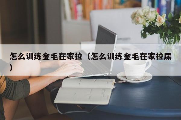 怎么训练金毛在家拉（怎么训练金毛在家拉屎）