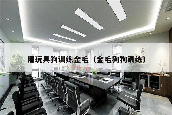 用玩具狗训练金毛（金毛狗狗训练）