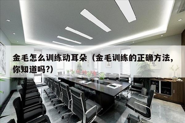 金毛怎么训练动耳朵（金毛训练的正确方法,你知道吗?）