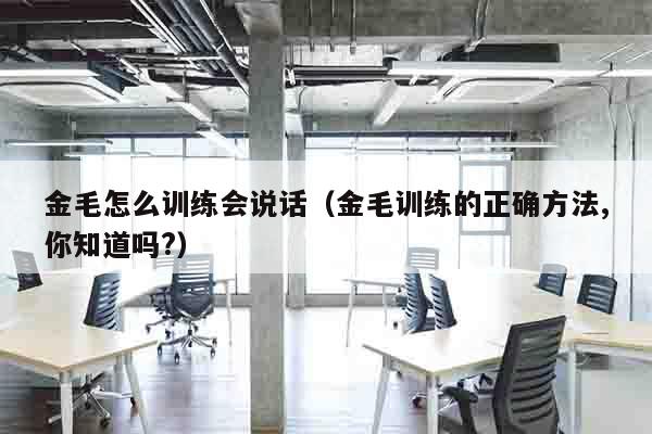 金毛怎么训练会说话（金毛训练的正确方法,你知道吗?）