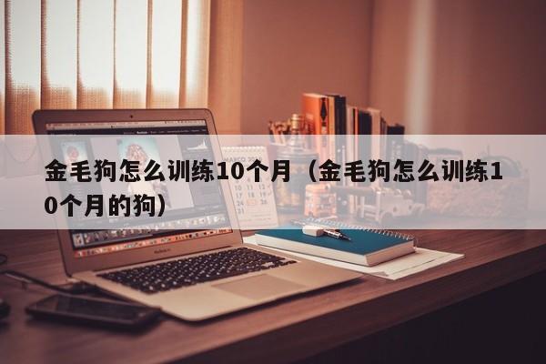 金毛狗怎么训练10个月（金毛狗怎么训练10个月的狗）