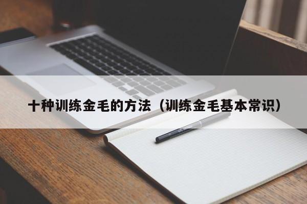 十种训练金毛的方法（训练金毛基本常识）