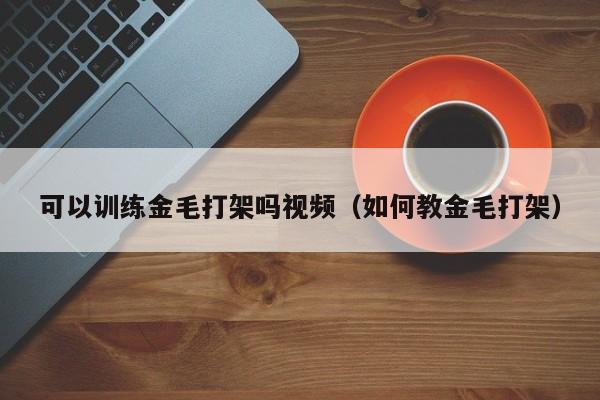 可以训练金毛打架吗视频（如何教金毛打架）