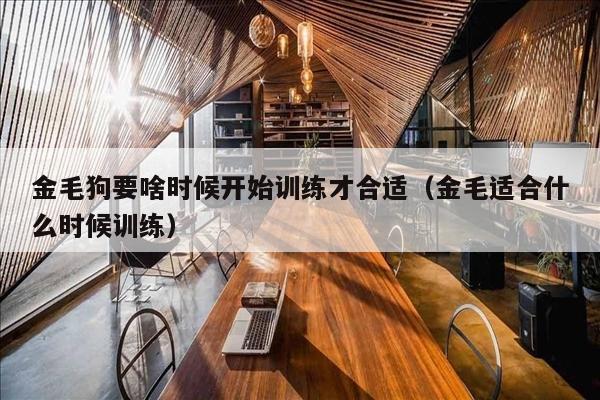 金毛狗要啥时候开始训练才合适（金毛适合什么时候训练）