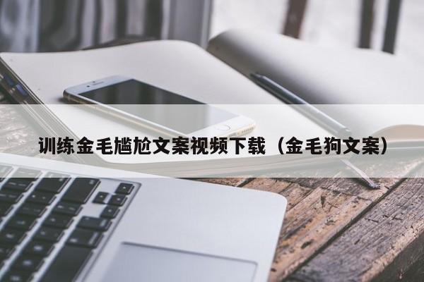 训练金毛尴尬文案视频下载（金毛狗文案）