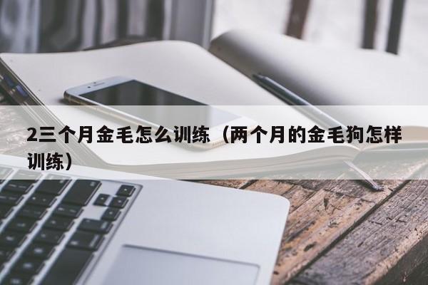 2三个月金毛怎么训练（两个月的金毛狗怎样训练）