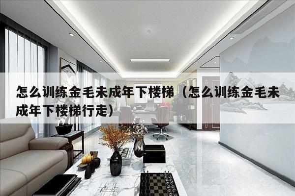 怎么训练金毛未成年下楼梯（怎么训练金毛未成年下楼梯行走）