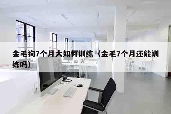 金毛狗7个月大如何训练（金毛7个月还能训练吗）