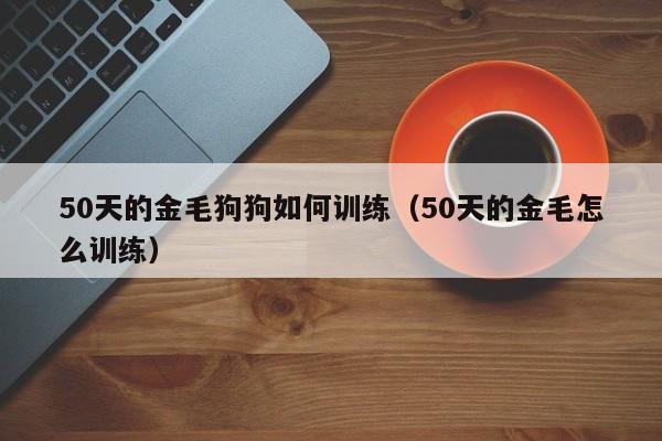 50天的金毛狗狗如何训练（50天的金毛怎么训练）