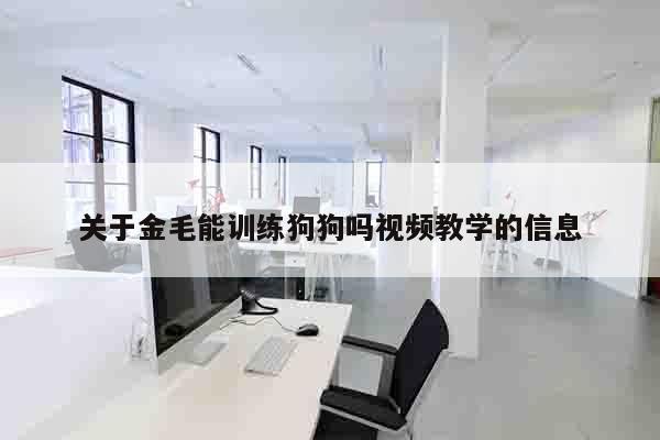 关于金毛能训练狗狗吗视频教学的信息