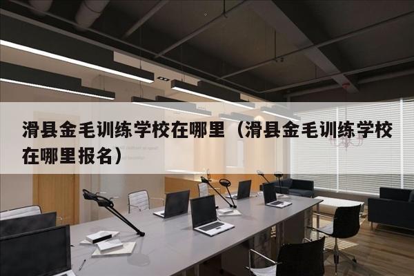 滑县金毛训练学校在哪里（滑县金毛训练学校在哪里报名）