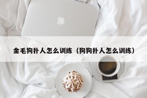 金毛狗扑人怎么训练（狗狗扑人怎么训练）