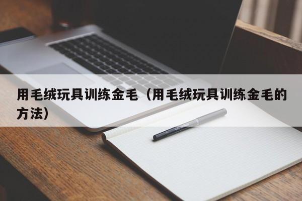 用毛绒玩具训练金毛（用毛绒玩具训练金毛的方法）