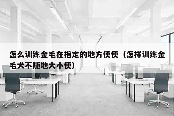 怎么训练金毛在指定的地方便便（怎样训练金毛犬不随地大小便）