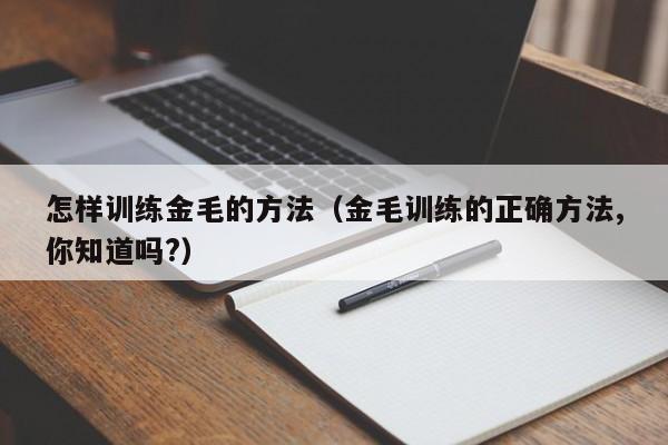 怎样训练金毛的方法（金毛训练的正确方法,你知道吗?）