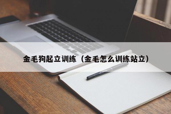 金毛狗起立训练（金毛怎么训练站立）