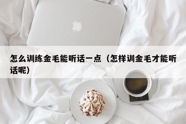 怎么训练金毛能听话一点（怎样训金毛才能听话呢）