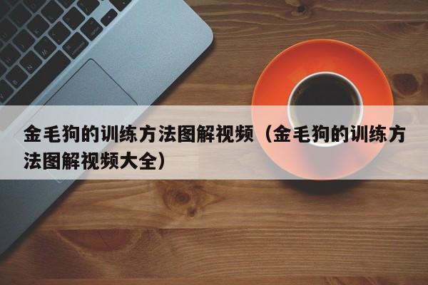 金毛狗的训练方法图解视频（金毛狗的训练方法图解视频大全）