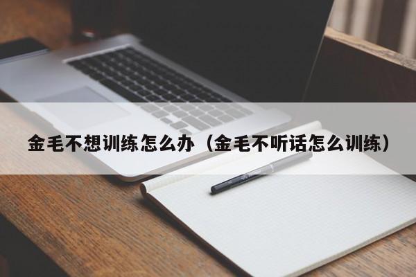 金毛不想训练怎么办（金毛不听话怎么训练）