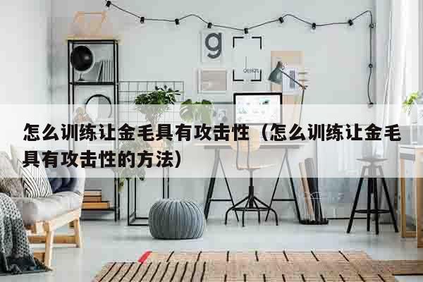 怎么训练让金毛具有攻击性（怎么训练让金毛具有攻击性的方法）