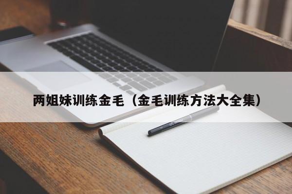 两姐妹训练金毛（金毛训练方法大全集）