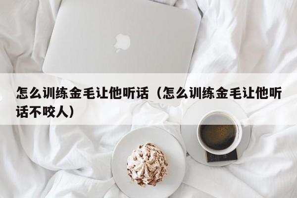 怎么训练金毛让他听话（怎么训练金毛让他听话不咬人）