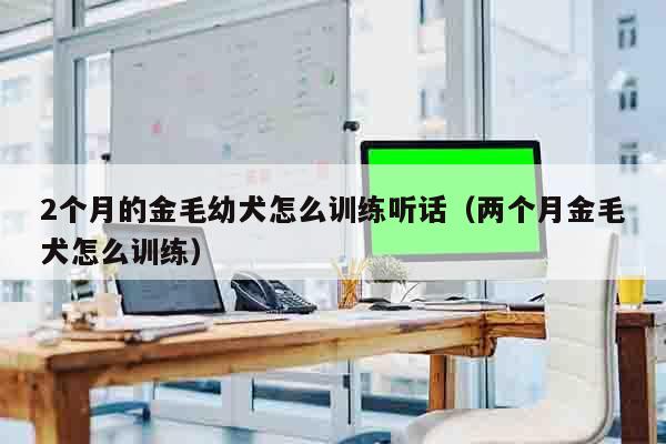 2个月的金毛幼犬怎么训练听话（两个月金毛犬怎么训练）