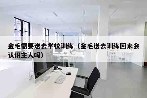 金毛需要送去学校训练（金毛送去训练回来会认识主人吗）